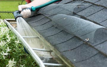 Repps gutter cleaning costs