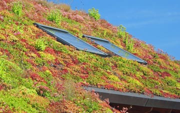 Repps living roof systems